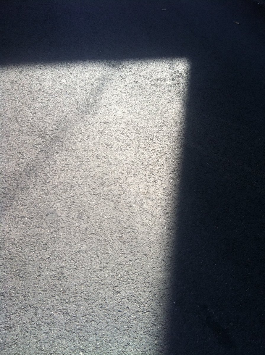 writewinter's tweet image. *너무나 비현실적인 사람들
 
무엇이 된다고 생각하는 걸까? 
어떤 결과를 초래하는.

-시월 마지막 날에 찍은 사진...