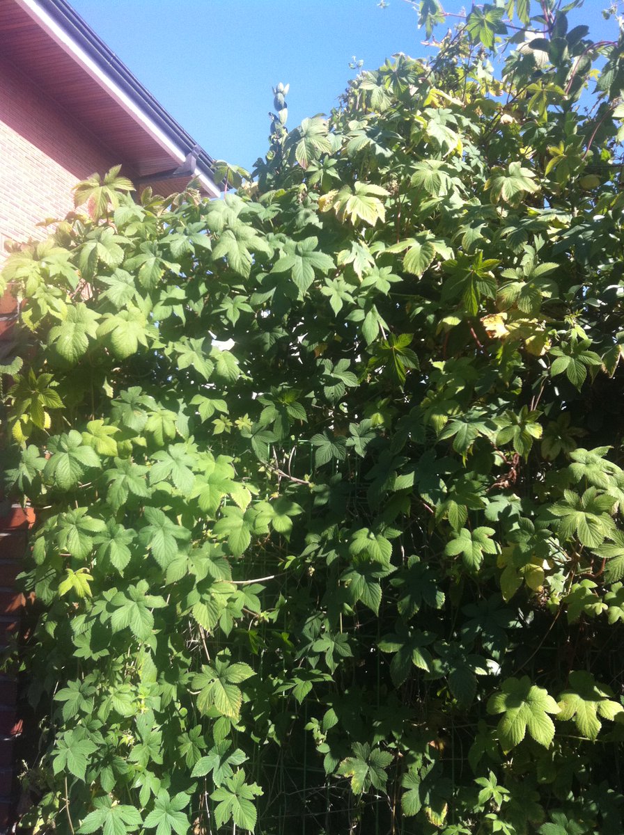 writewinter's tweet image. *너무나 비현실적인 사람들
 
무엇이 된다고 생각하는 걸까? 
어떤 결과를 초래하는.

-시월 마지막 날에 찍은 사진...