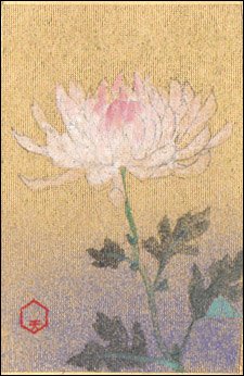 日本の誕生花 １１月３日の誕生花 大輪菊 たいりんぎく 花言葉 高貴の印 文化の日 明治天皇様の御誕辰を祝うこの日はあちこちの神社では大振りの菊花が列をなして並べられている事があります 人々が丹誠を込めて咲かせた愛情の結晶です