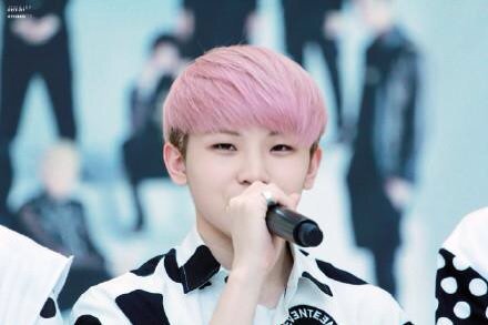 PrincEssNamJin's tweet photo. When trying to dye my hair pink.. I wanted Woozi but got L.Joe pink... Darn 😂 #ItWillFade https://t.co/K8hNDlZtBg