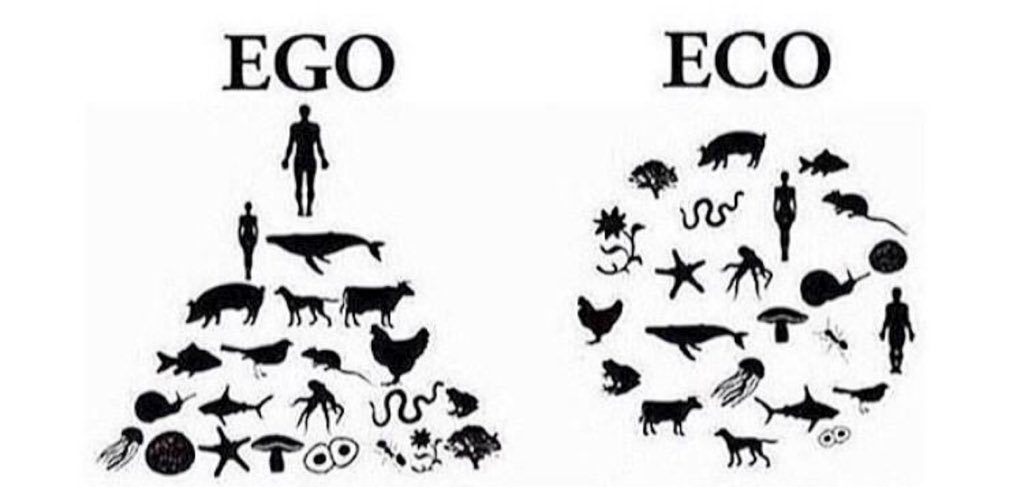 manishagoyal567's tweet photo. EGO VS ECO! What a great depiction👏 https://t.co/iFk4QZhhVu