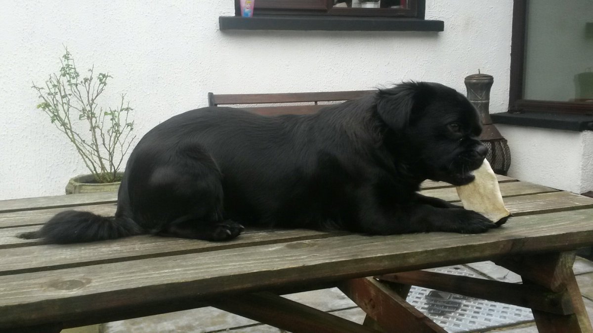 SpeedyFeet3000's tweet image. Vin Diesel #chowingdown er.......on   his   actual bone