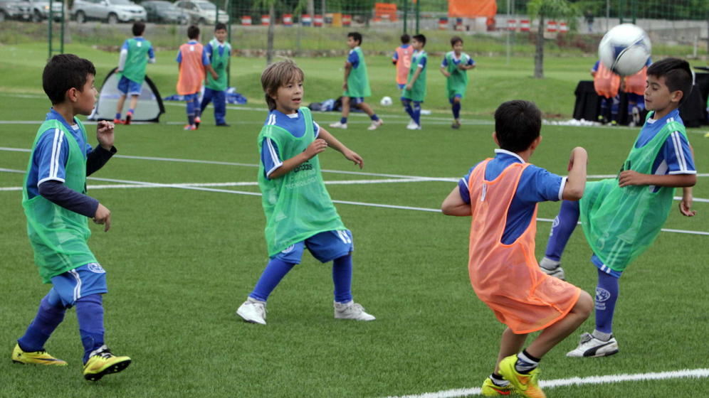 SportSocialClu6's tweet photo. ¡¡NOTICIÓN!!
Las ayudas privadas al deporte base desgravarán hasta un ¡90% y sin límites!
https://t.co/gsJ5g6SIRY https://t.co/bkoq0anw4A