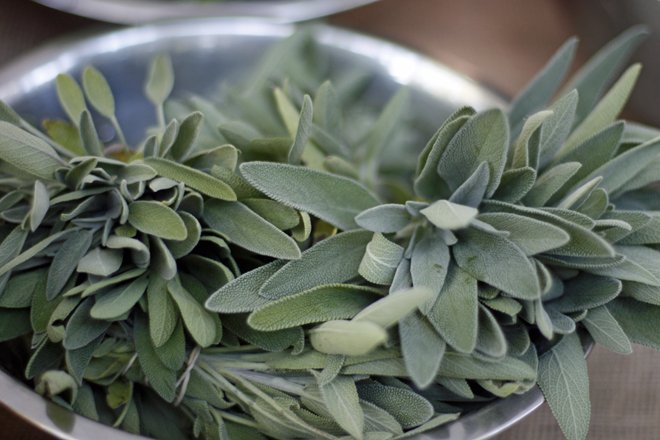 Fig Cooking School tweet media