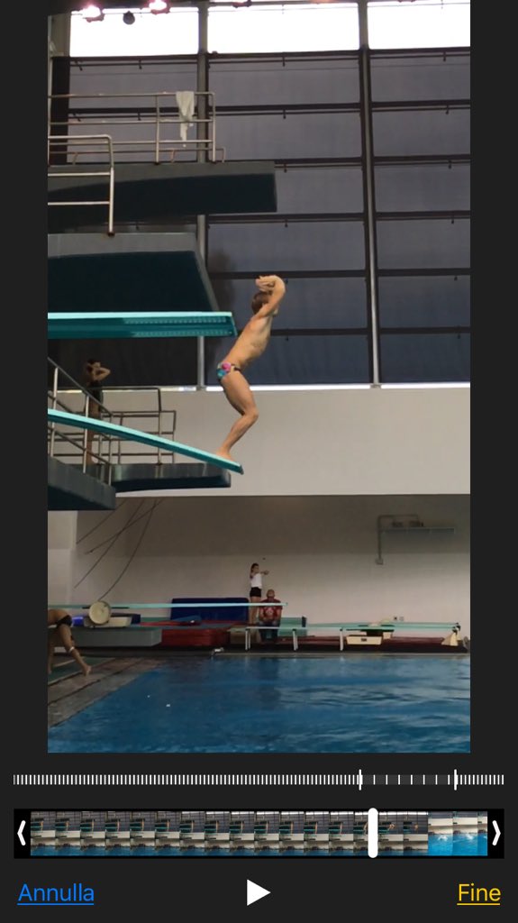 Gabriele Auber (@gabriele_auber) on Twitter photo 