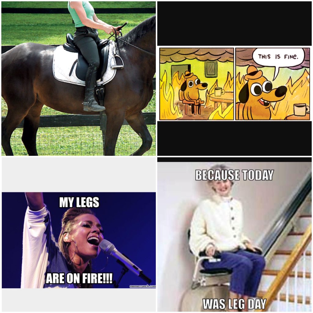 The many stages of #NoStirrupsNovember