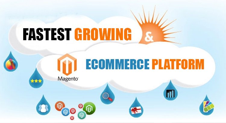 MagentoProvider tweet picture