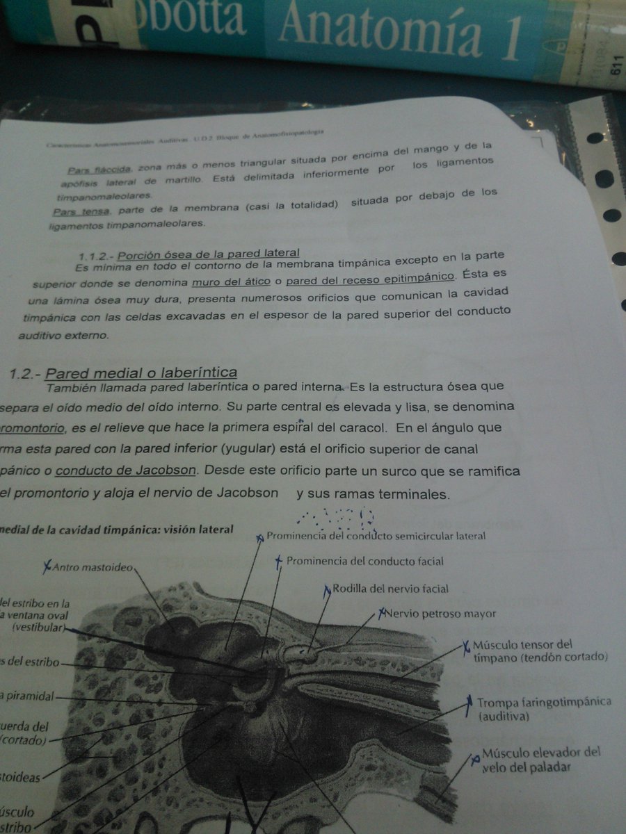 Estheer_1994's tweet photo. Por las mañanas productivas de biblio y el poco sueño que tengo!! https://t.co/p0YjJ0TDto