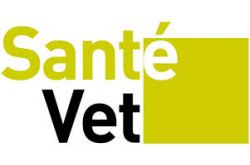 BoxVet tweet picture