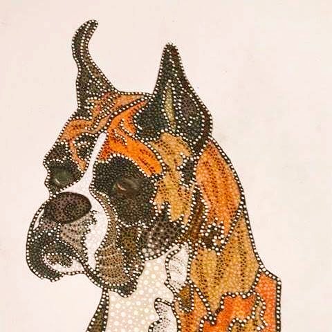 BoxerKennel's tweet photo. #BoxerBreed 🐾 https://t.co/zdtQU3eHtX 🐾 #BoxerDog
#BOXER #BoxerLove #Boxers #Dogs #ILoveMyBoxer #BoxerLover #DogShow https://t.co/X46yTyQsK8