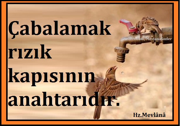 MevlanaSozler's tweet photo. Çabalamak rızık kapısının anahtarıdır. Hz.Mevlânâ https://t.co/TlXDc2bfgX