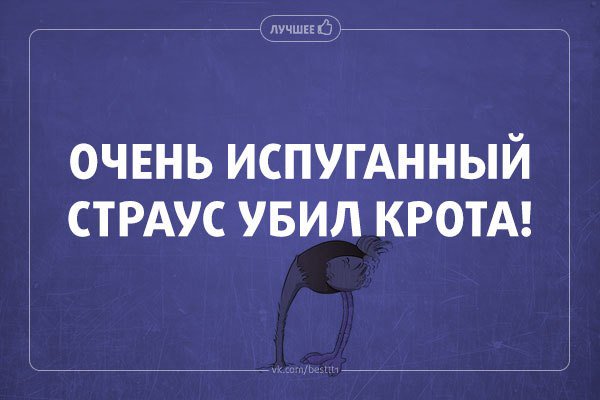 Марченко Алексей (@marhhenkoaleks) on Twitter photo 