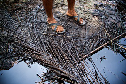 AmnestyUK's tweet photo. Shell has failed, despite its claims, to clean up spills in the Niger Delta. https://t.co/0646q6L2dm https://t.co/eRTqMWTsP9