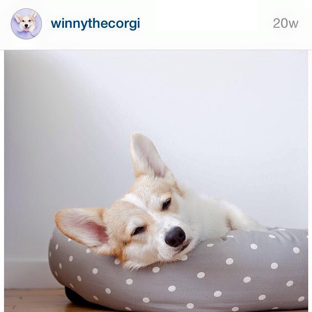 I am still rather humbled ,when customer take the time and effort to post lovely pictures of our products.