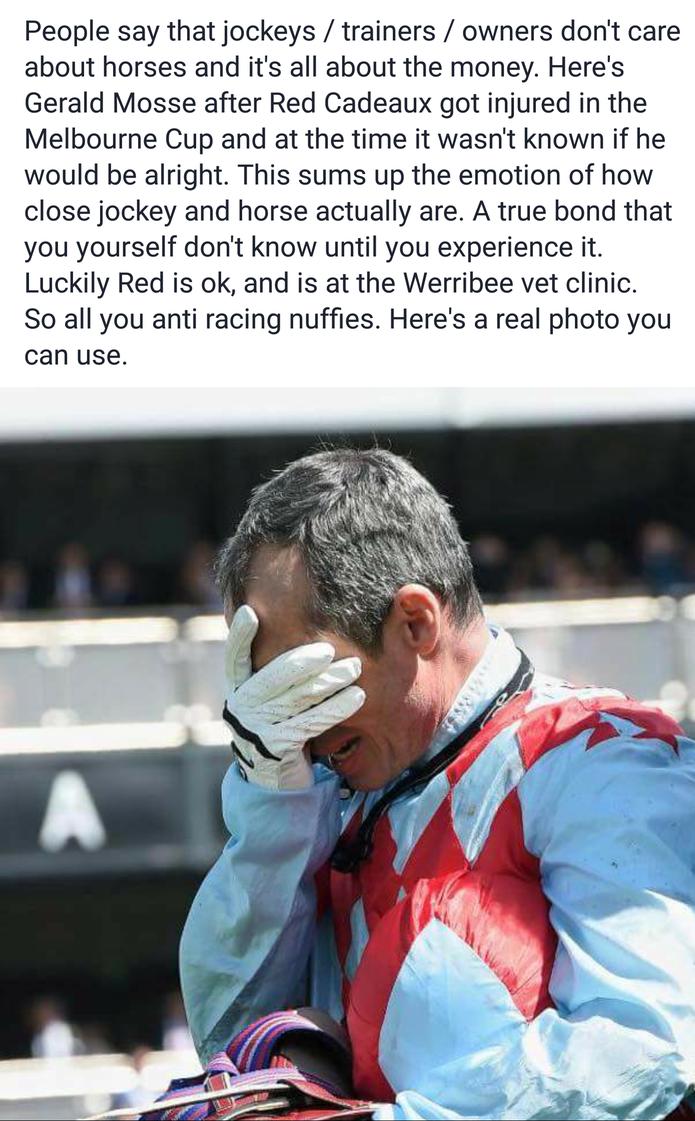 allanagrayston's tweet photo. Wow...no words can express the emotion in this photo... https://t.co/BSHrZK7Dm4