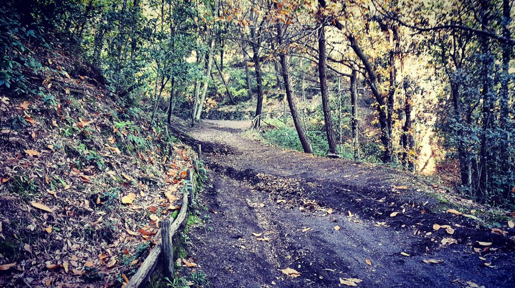 ClodSquame's tweet photo. #GoodMorning 👣🌞🌿 #running https://t.co/TIB3MMQUCU