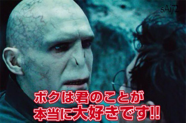 これってもしかしてＢＬ版ハリーポッター？