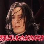 これってもしかしてＢＬ版ハリーポッター？