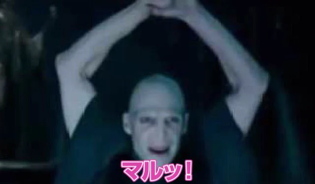これってもしかしてＢＬ版ハリーポッター？