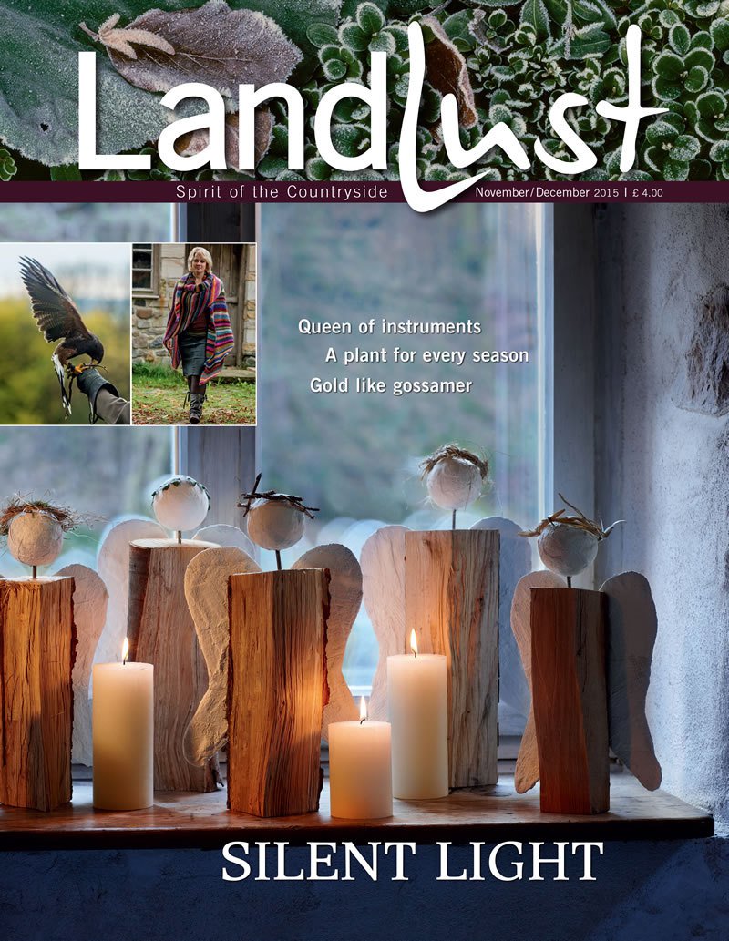 Good Living Tips tweet media