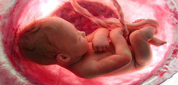 jinekolog.co/kordon-kani/
KORDON KANI NEDEN SAKLANIR?