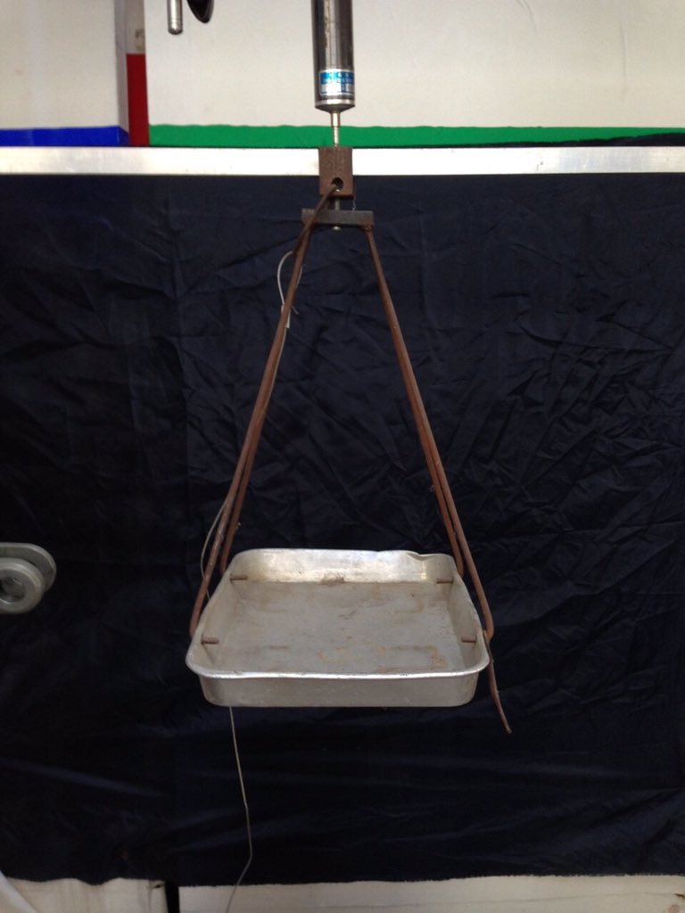 ShibataBlog's tweet image. 