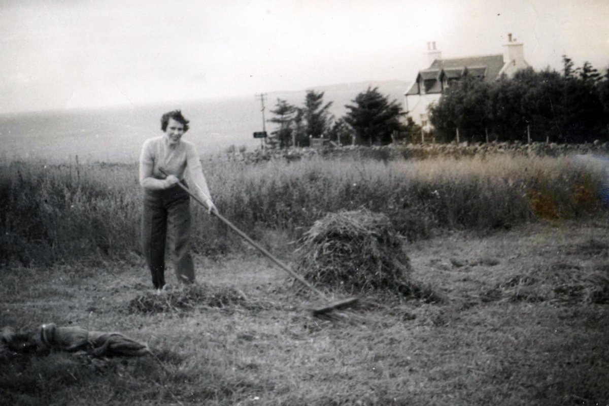 paulwphoto's tweet photo. My mother raking hay at #secondcoast #WesterRoss in the 1950's https://t.co/kiDDIWkWMD