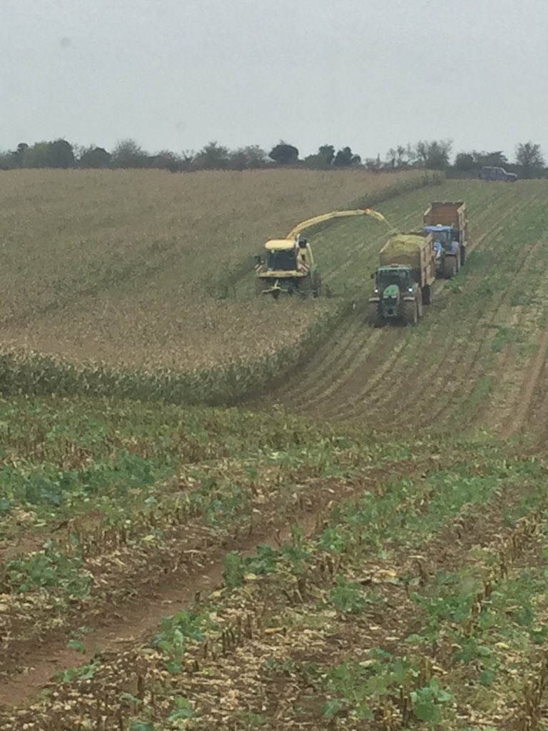 mdpencil1's tweet photo. #krone #demo #700hp #12row https://t.co/CIP4DS5Gx2