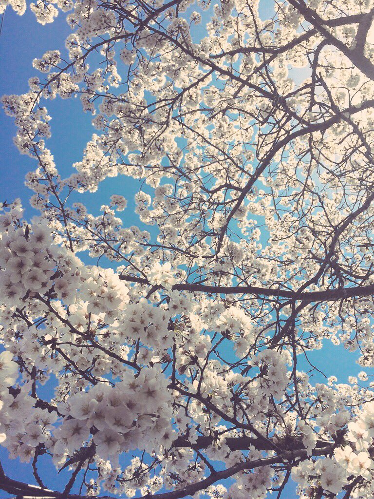 GRAVITY0831's tweet photo. ゆる( @yru_yl ) から
 #好きな画像を一枚貼って3人指名して繋げて行くんですって

@ao_hibiki 
@yori_kayu 
@38kas https://t.co/Zu6iJyvTs9