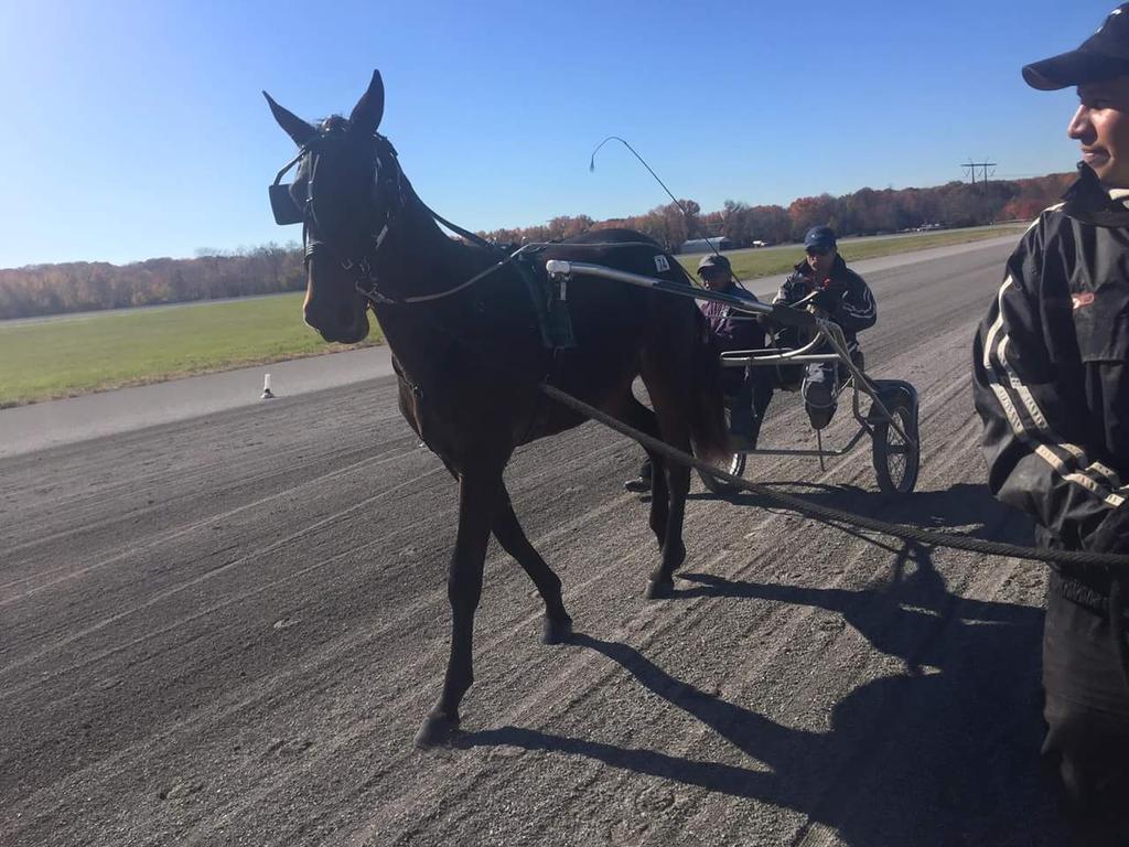 alagnaracing's tweet photo. Obscene at #Barn10
HIP#74 - $165k
S: Kadabra
D: Letsjustalkaboutme
Sex: F Gait: T
#teamalagna
#harrisburgsale https://t.co/u2KJfMELs2