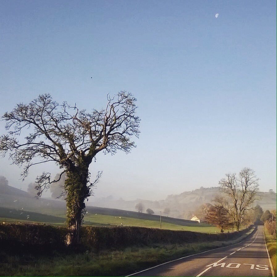 OliBlake88's tweet photo. Foggy morning rides through the countryside | Oswestry, UK

#blakeotri #triathlete #training #offseason #scene https://t.co/heXgCVsi1F