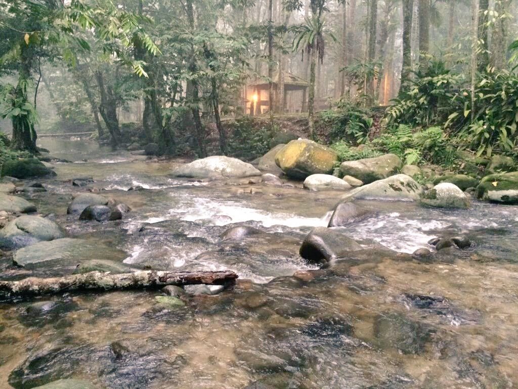 AzimOneForAll's tweet image. Pagi.Sngai Congkak. #NiceEnvironment #UdaraFreshDrJerebu #Camping #Bagpacker #MainMasak2 #PandaiPhotographerAmekView