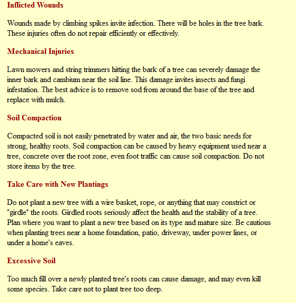 4SeasonsTree925's tweet image. #SanRamonTreeServices #BrushChipping #TreeCleaning