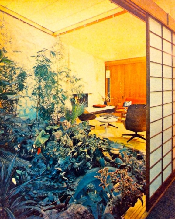 j_thorsteinson's tweet photo. Inventive Portage la Prairie house interior, jungle-like and shoji-filled, late 1960s. #canadianmodern @wgarch https://t.co/xdm8C2o0ot