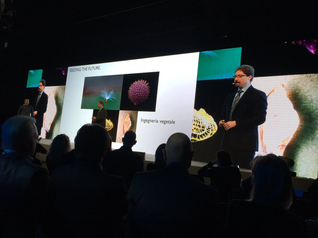lmotta2000's tweet photo. L'unico modo per prevedere il #futuro e' inventarlo #innovazione da Telmo Piovani #alberodellavita @enzobaglieri https://t.co/dQzr8OODU6