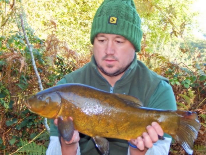 Wyeangler's tweet photo. The Tench are still feeding in the mild weather. This fish weighed 1lb 1/2 heavier prior to spawning #ForgottenCarp https://t.co/YhabnYdnLK