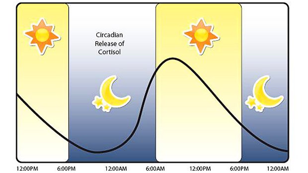 T_Nation's tweet photo. NEW! How to Sleep Better, Stop Stressing, and Get Ripped: https://t.co/HL3rcGTcFi https://t.co/VoS3BNuAxa