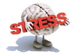 facultytraining's tweet photo. Stress and the #TestAnalyst Brain - the first blog by #FTISA resident #TestingGuru @CeliaFTI https://t.co/aZfn9blrp5 https://t.co/SUl3AHvmY0