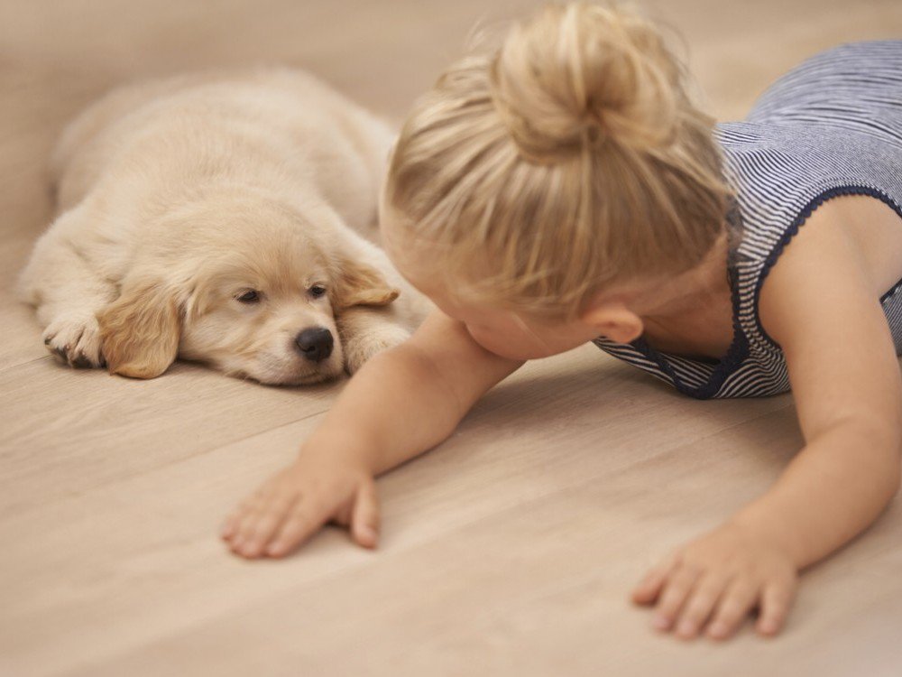 muyinteresante's tweet photo. Tener perro reduce el riesgo de asma en los niños: 
https://t.co/MvnSeM3Z4g https://t.co/rkjUHaBLGM