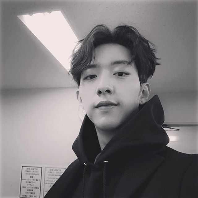 埋め込み画像への固定リンク