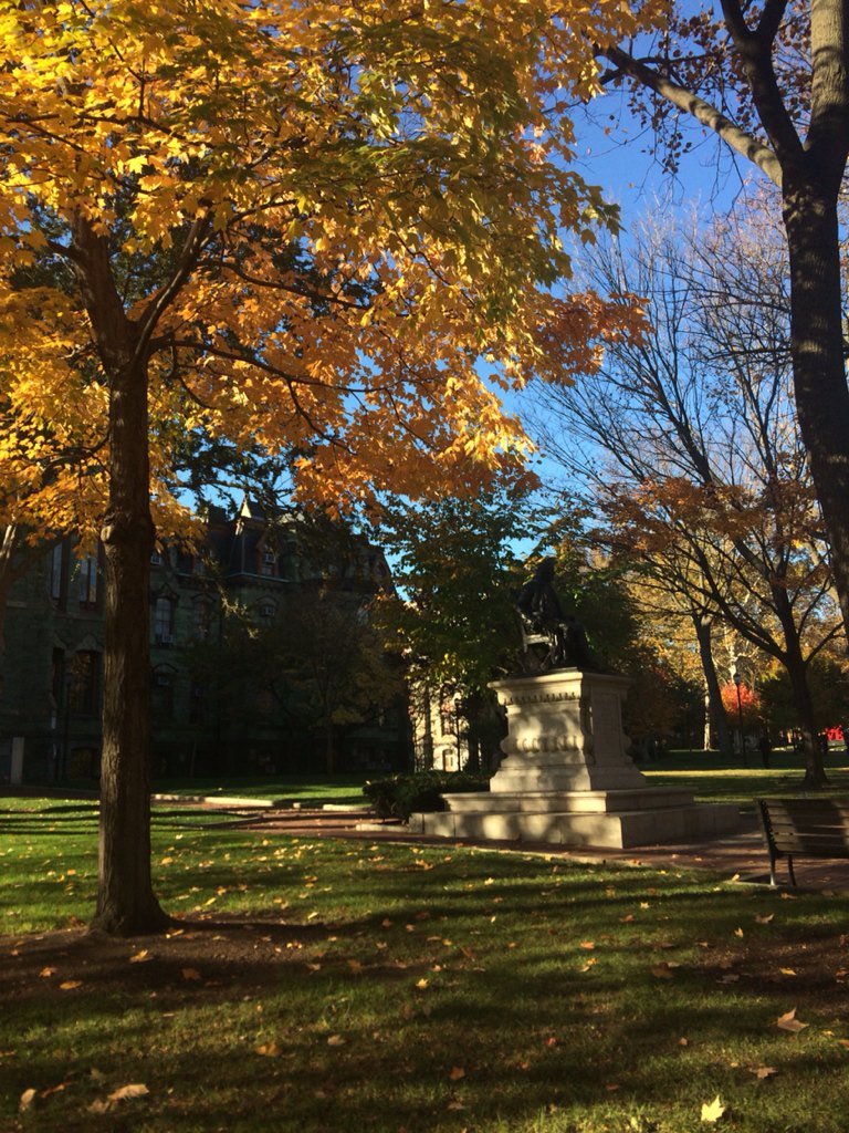 DeanFurda's tweet image. Gorgeous day anticipating @Pennalumni homecoming. But now time to review @QuestBridge and @PreviewingPenn #earlyapps