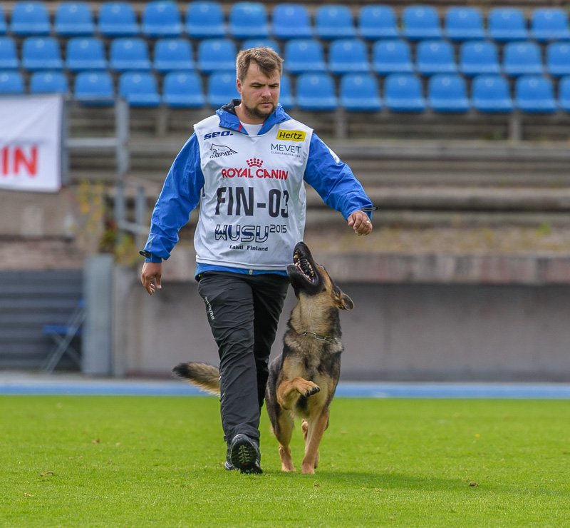 Ruffdogsports's tweet photo. WUSV 2015 FINLAND https://t.co/IJ0aCw0CGv