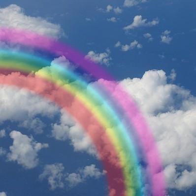 theaviatorsclub's tweet photo. DAISY Cat @MissPurrfect23 Rainbow Bridge Escort #TheAviators #Angels  Friday November 6th at 8 PM UK - 3 PM EDT USA https://t.co/LEwnhLhips