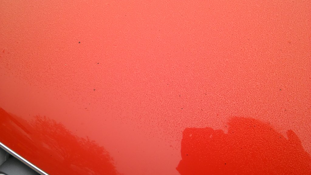 NFAutoclean's tweet photo. This #AudiTT was parked near a fence that was being treated. Overspray- not good! Clay treatment was the solution 👌 https://t.co/Z8ThWA7jyA