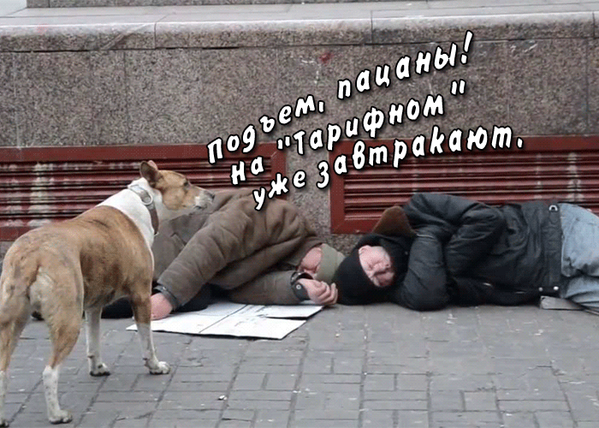 VerhovnaRada's tweet photo. Тарифный майдан полностью проплаченный, людей поят чаем,кормят квашеной капустой и варениками.#тарифниймайдан #Ляшко https://t.co/8UNvwkHWf2
