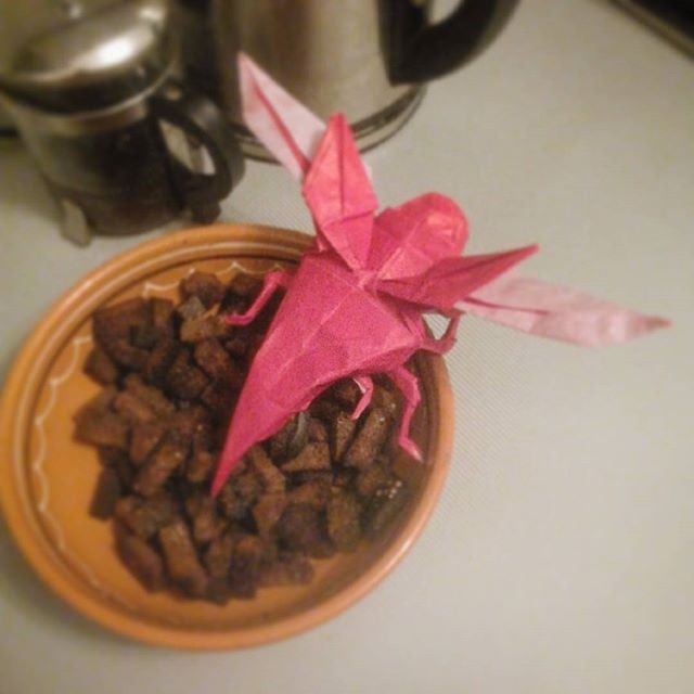 instaufa's tweet photo. #origamiinsects #origami #искусство #уфаарт #satoshikamiya #оригамивуфе #оригами #бумага #масте� https://t.co/N6VJqDTrJe