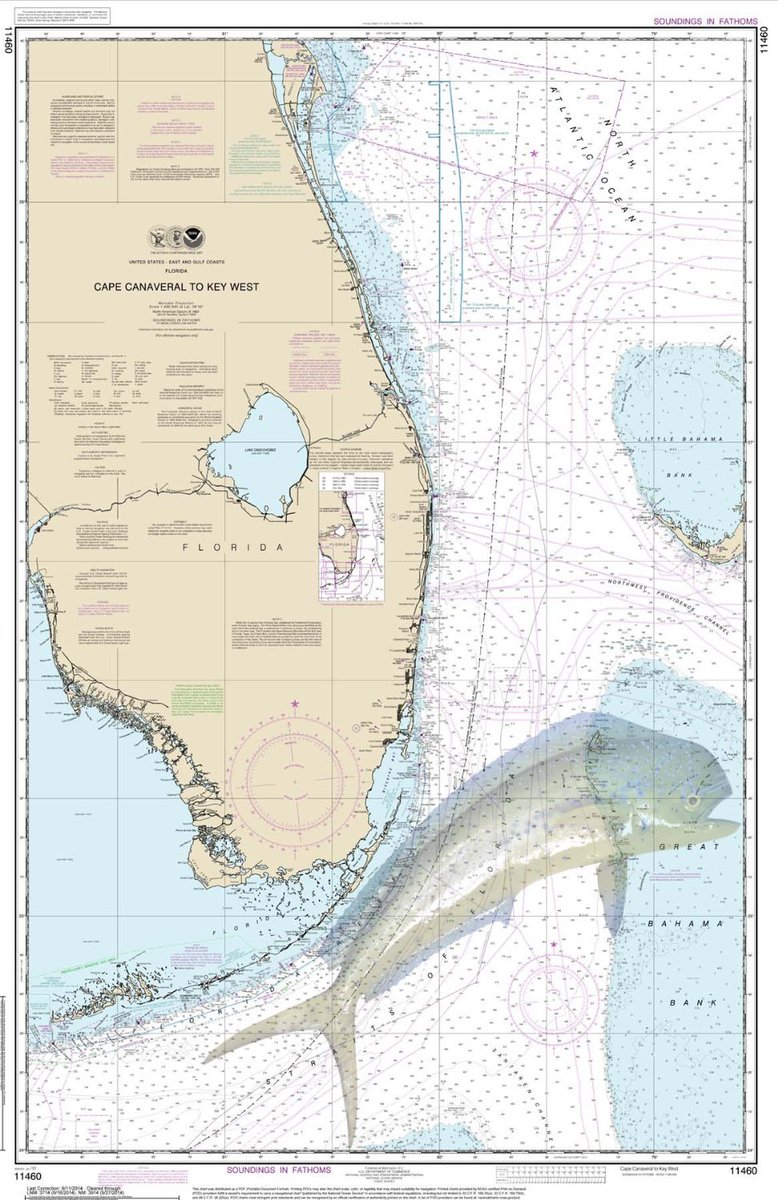TextilePrinters's tweet photo. #CapeCanaveral #LargeVariety of #Nautical prints #sailcloth with images to fit your #personality #shutthefrontdoor https://t.co/RvP9zzNutC