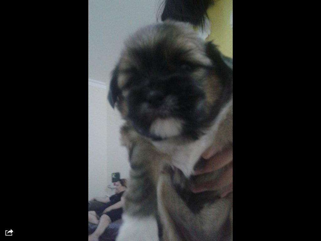 russevanregio's tweet image. 