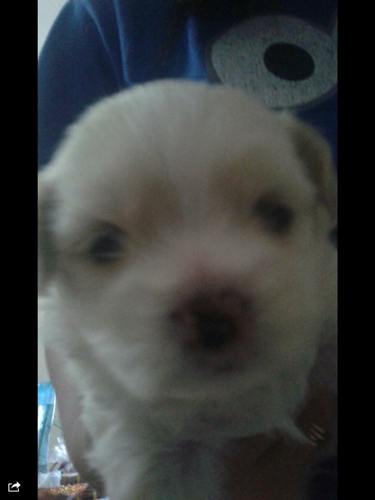 russevanregio's tweet image. 