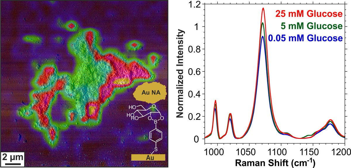 Latest collaboration between the <a href="/Lagugne/">François Lagugné</a> and @WorkentinChem groups <a href="/westernuchem/">Chemistry at Western</a> link.springer.com/article/10.100…